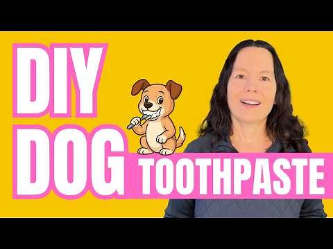 The Best Homemade Natural Dog Toothpaste DIY Recipes