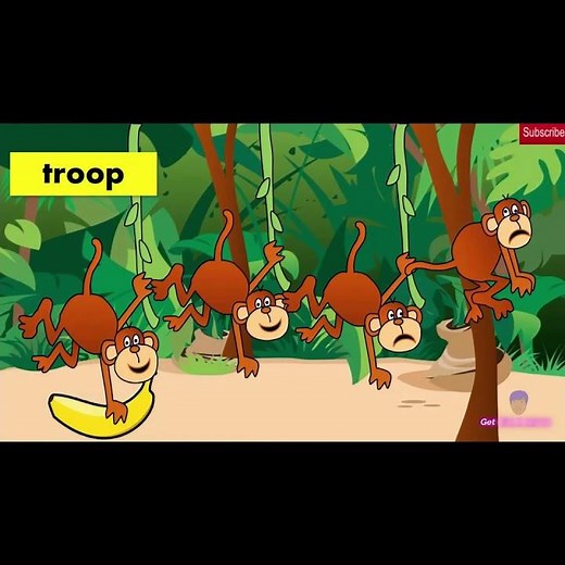 Collective Nouns | COLLECTIVE NOUNS AND EXAMPLES #collectivenoun #nouns #americanenglish #education