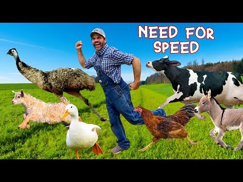 Who's the Fastest Animal on the Farm? (Educational Farm Video For Kids)