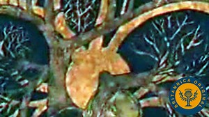 Circulation of Blood in the Human Body | Arteries, Veins, & Capillaries | Britannica