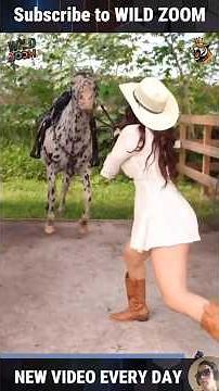 19 INCREDIBLE Animal Clips You’ve Never Seen Before!