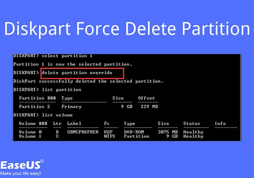 Fixed: DiskPart Force Delete Partition on Windows 11/10/8/7