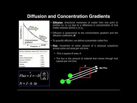 Fick's First Law (1): Diffusion, Flux, and Concentration Gradients