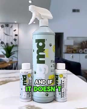 BugMD Flea + Tick Spray - Get Rid Of Fleas For Under $40