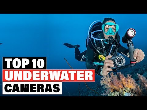 Best Underwater Camera 2025 [Top 10 Picks Reviewed]