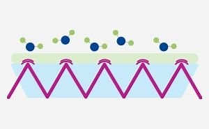 ATR-FTIR Spectroscopy