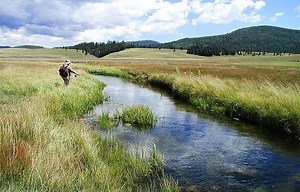 Late-Summer Fly Fishing: Try the Hopper-Dropper