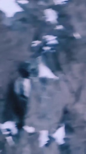 170K views · 341 reactions | Snow leopard attack ibex | Gilgit Baltistan updates | Facebook