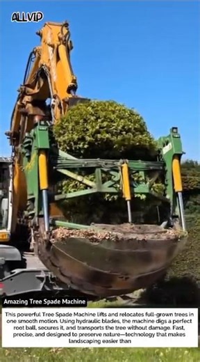 Amazing Tree Spade Machine – Moving a Full-Grown Tree in Seconds!