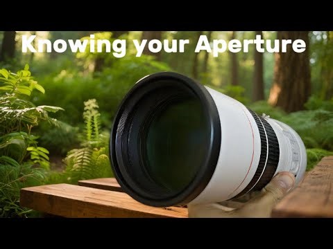Getting beautiful sharp photos: Knowing your Aperture