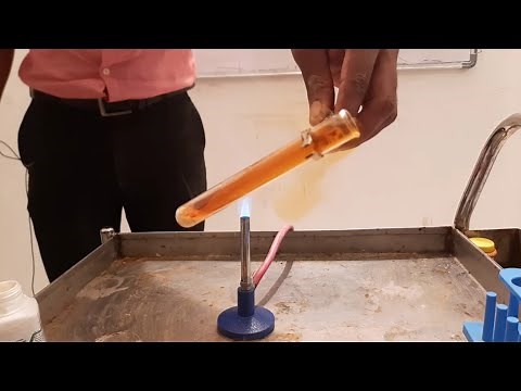 10th Science, Activity 1.6