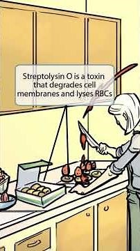 Streptococcus pyogenes has been tested for decades—for good reason. 🎯 How to Pass USMLE Step 1?