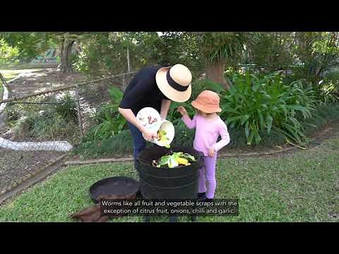 Step-by-step guide to worm farming