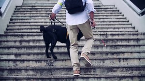 7.2K views · 196 reactions | Final year Industrial Design and...