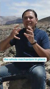 Learn how Mexico brought back life to its islands