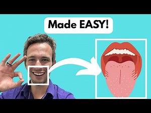 Taste Physiology: How Taste Works! (Taste Buds & Brain Pathway)