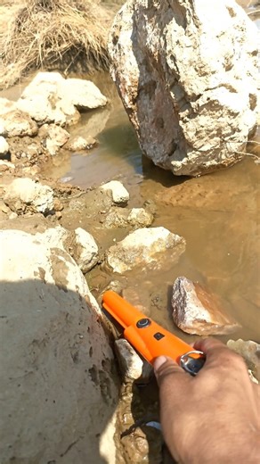 best pinpointer gold detector #pinpointermetaldetecor #bestgolddetector #shortsfeed #findgold ##hunt