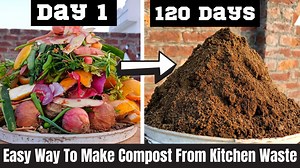 1.4K views · 56 reactions | Easy Way To Make Compost From Kitchen Waste| How To Make Compost At Home Follow Request You Tube Channel Link https://youtube.com/channel/UCTxo6VHGK5_O3FZwmH68qcA #compost #howtomakecompost #kitchenwaste #makecompostfromkitchenwaste #kitchengardening #garden #diy #diygardening #gardeningtips #vegetablesgardening Home, Garden & DIY Rana Craft The Kitchen Garden Facebook Marketplace Community | TM Baagh | Facebook