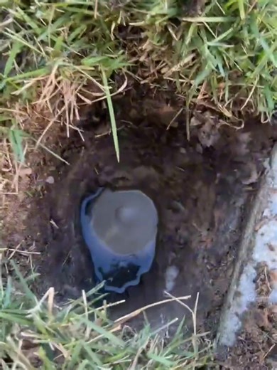 HurricaneMelissaupdate-12ho6n,Jam aica.Footageasthehurricanemakeslan dfallwithhistoric185mphwinds#hurric anemelissa#melissa#jamaica#news#fyp