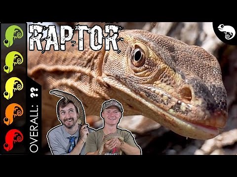 Argus Monitor, The Best Pet Lizard? + Training a Monitor Lizard With Joseph Carter the Mink Man