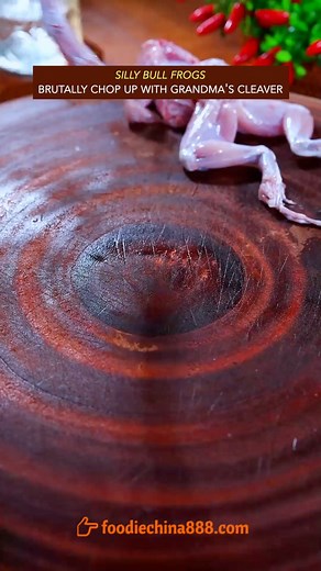 How to cook bullfrogs like a pro? #recipe #cooking #chinesefood #bullfrog #frogs #spicyfood | foodiechina888