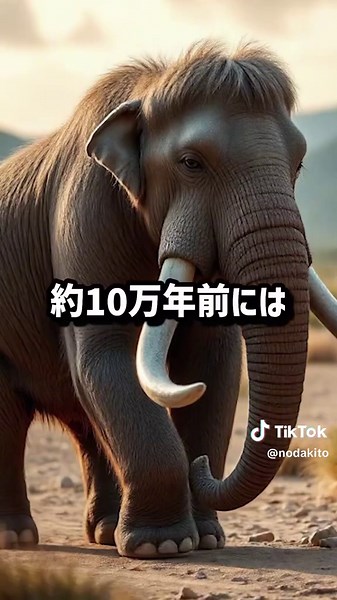 世界に人類が一種類しかいない壮絶な理由 #海外の反応 #日本文化 #ニュース