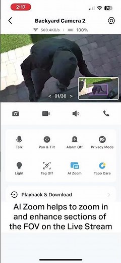 Using AI Zoom on a Tapo 4K Camera #4K Camera #Tapo #AIZoom