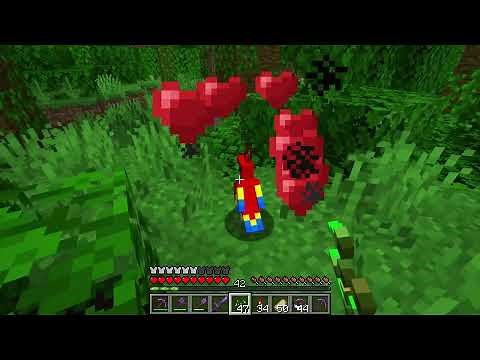 Parrot Breeding guide, can you breed the bird to make the baby birds ? - Minecraft 1.21