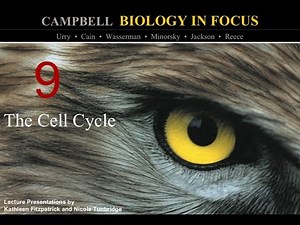 Biology in Focus Chapter 9: The Cell Cycle