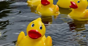 duck, rubber, race, winners, waddle, great, 2025, battle, making,…