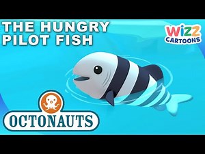 ​‪@Octonauts‬ - The Hungry Pilot Fish 🐟 🦈 | Series 1 | Full Episode 21 | ‪@WizzCartoons‬