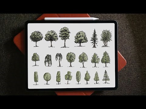 How to draw trees for Architects? Procreate tutorial on iPad