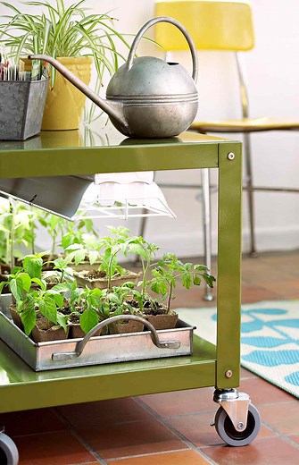 How to Choose the Best Grow Lights for Plants at Every Stage