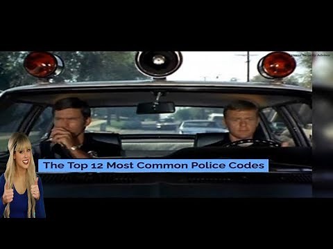12 Most Common Police Codes 🚓[And What They Mean]