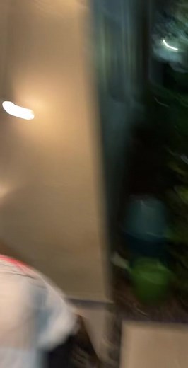 Hiring a Butler for the First Time: Hilarious Real-Life Experience