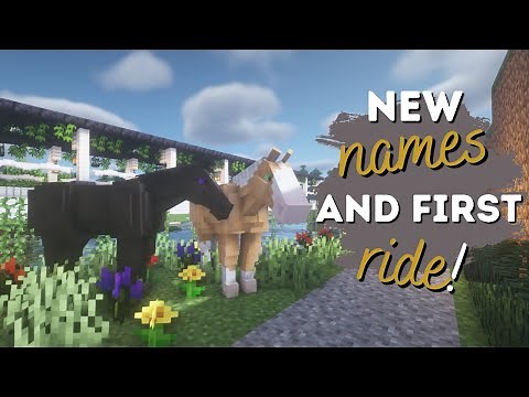 the grown foals get their names! Minecraft SWEM RRP