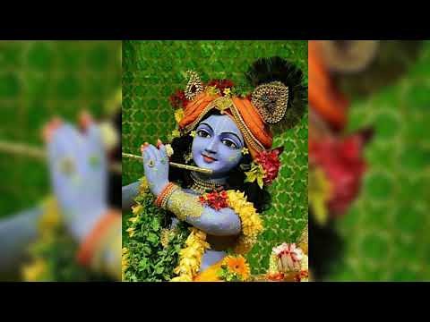 Vrindavan ka kad kad bola shri radha Radha🙏🙏