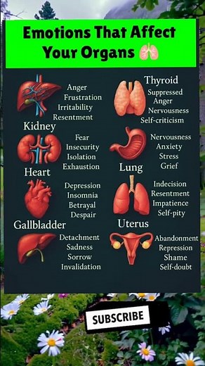 💫 Emotions That Affect Your Organs | Mind-Body Connection Explained! 💖🧠 | Emotions and Organs