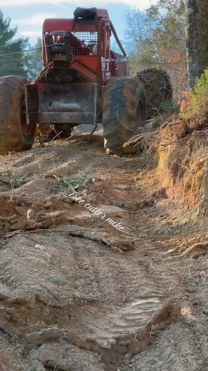 #timberjack240 #winchwotk#562xp #hoffmanboots #loggerlife #loggertok