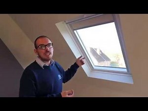 VELUX Window Guide