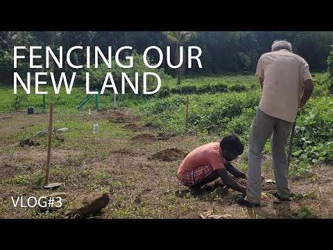 We Started Building Our Dream Homestead Fence (So Much Work!) (Vlog #3)