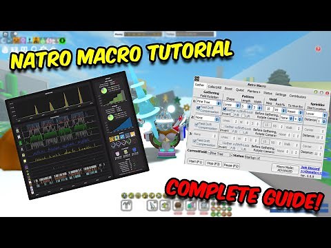 The *MOST* Detailed Natro Macro guide! | Bee Swarm Simulator