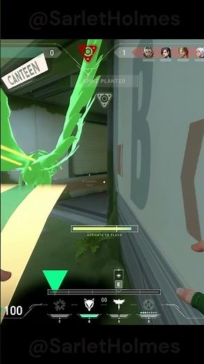 Transparent Skye Flash!