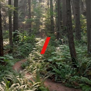 Own the season aboard a Diamondback mountain bike. Hardtail or Full Suspension, they can handle whatever you throw at them. | Diamondback Bicycles