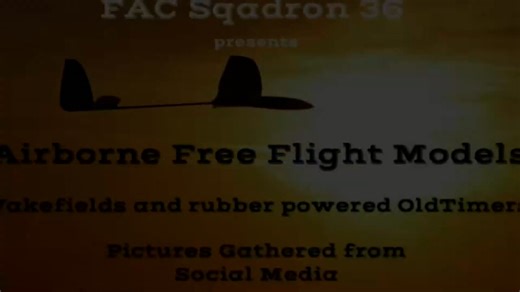 Airborne Free Flight Models