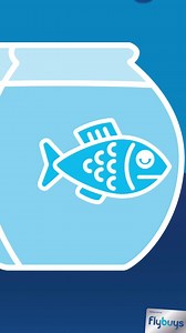 144K views · 615 reactions |  Who has the memory of a goldfish when it comes to scanning their card? This might help.  | Flybuys | Facebook