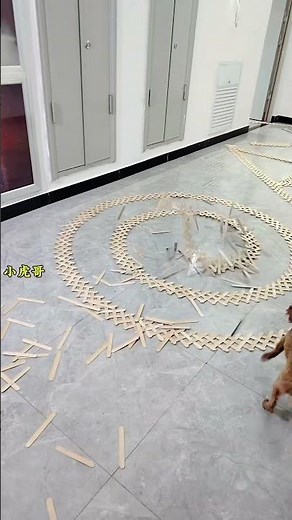 Ice cream stick dominoes! Good luck to those who see this video!