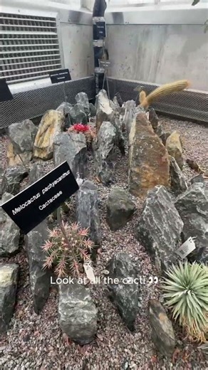 Come with us to explore the CBS Conservatory on St. Paul campus!