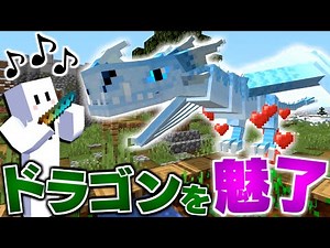【マイクラ】ドラゴンだらけの世界で全てのドラゴンを飼いならす #11 ドラゴンを魅了する最強の笛!?【マインクラフト】