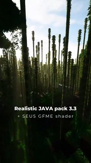 Realistic Minecraft JAVA 1.21.10 with RealSource Realistic JAVA pack / DOWNLOAD texture pack